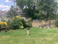 a grassy area with trees and bushes